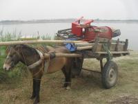 Loading  camp essentials on the pony cart- tent, table, chairs